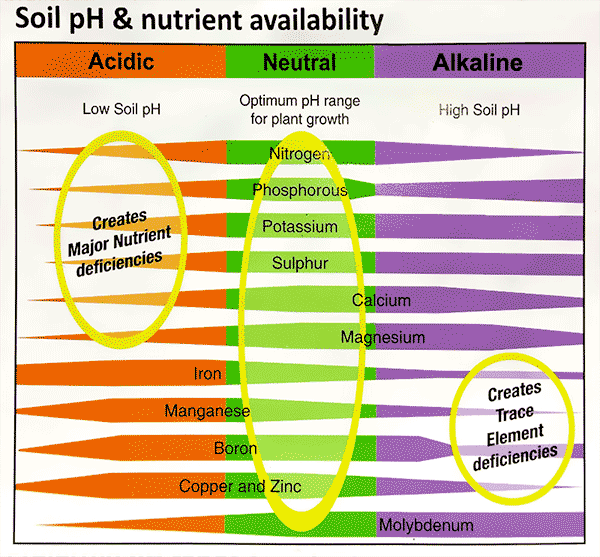 Acidity and alkalinity of soils Mort Bay Community Garden