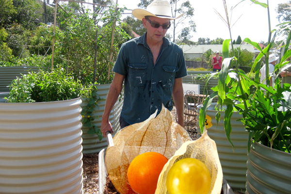 stephen-giant-gooseberries